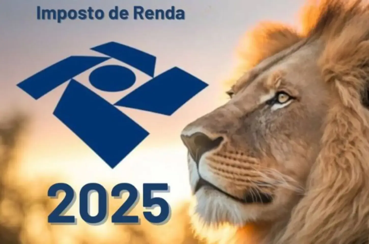 Confira regras do IRPF 2025; prazo para declaração começa na segunda