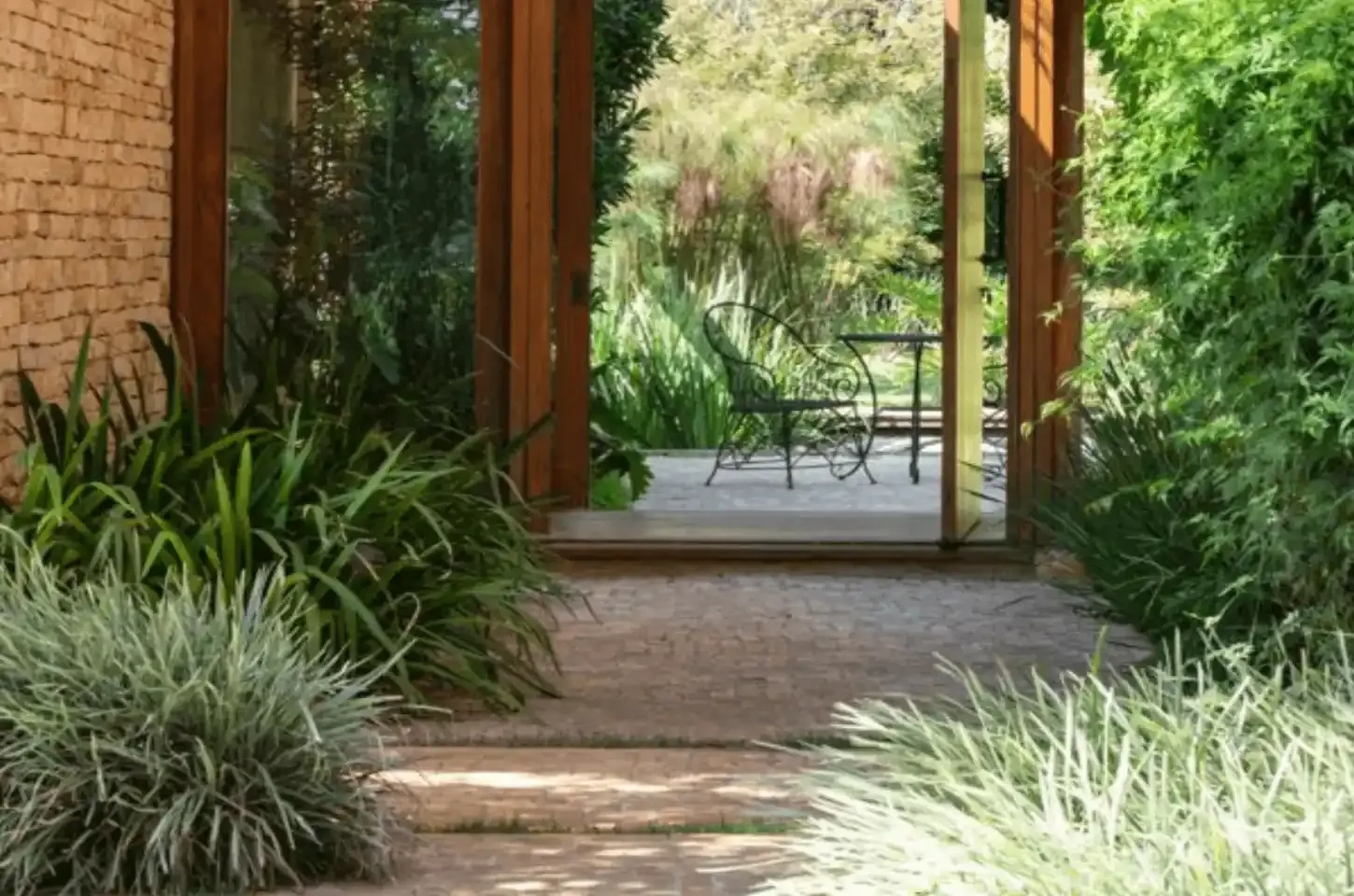 5 cuidados essenciais com as plantas no inverno