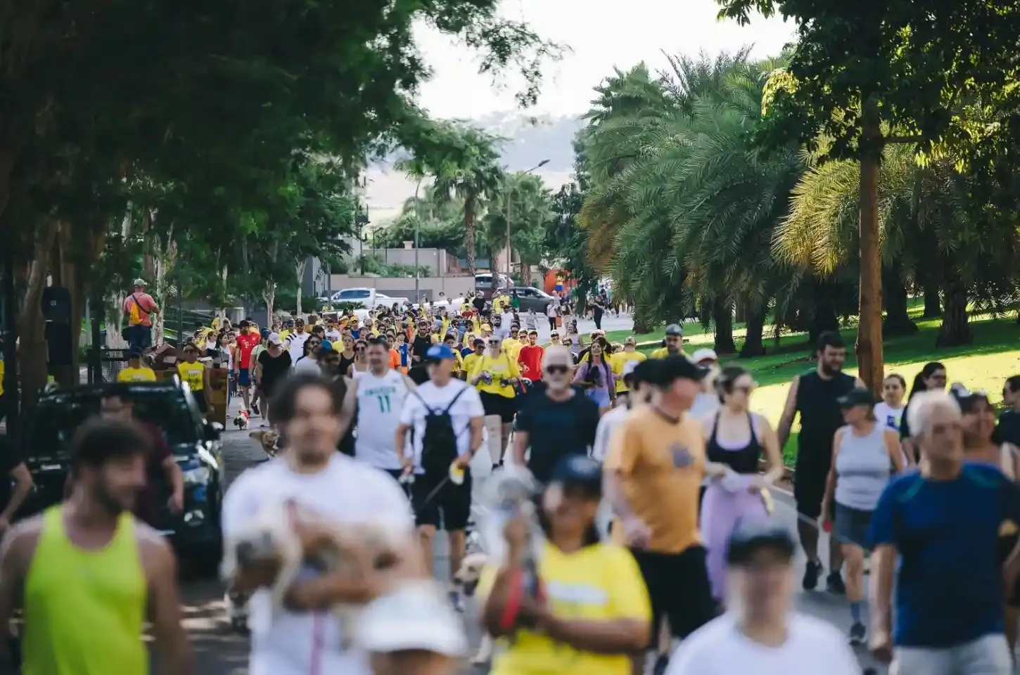 Prefeitura de Ribeirão Preto realiza 2ª Cãominhada neste domingo