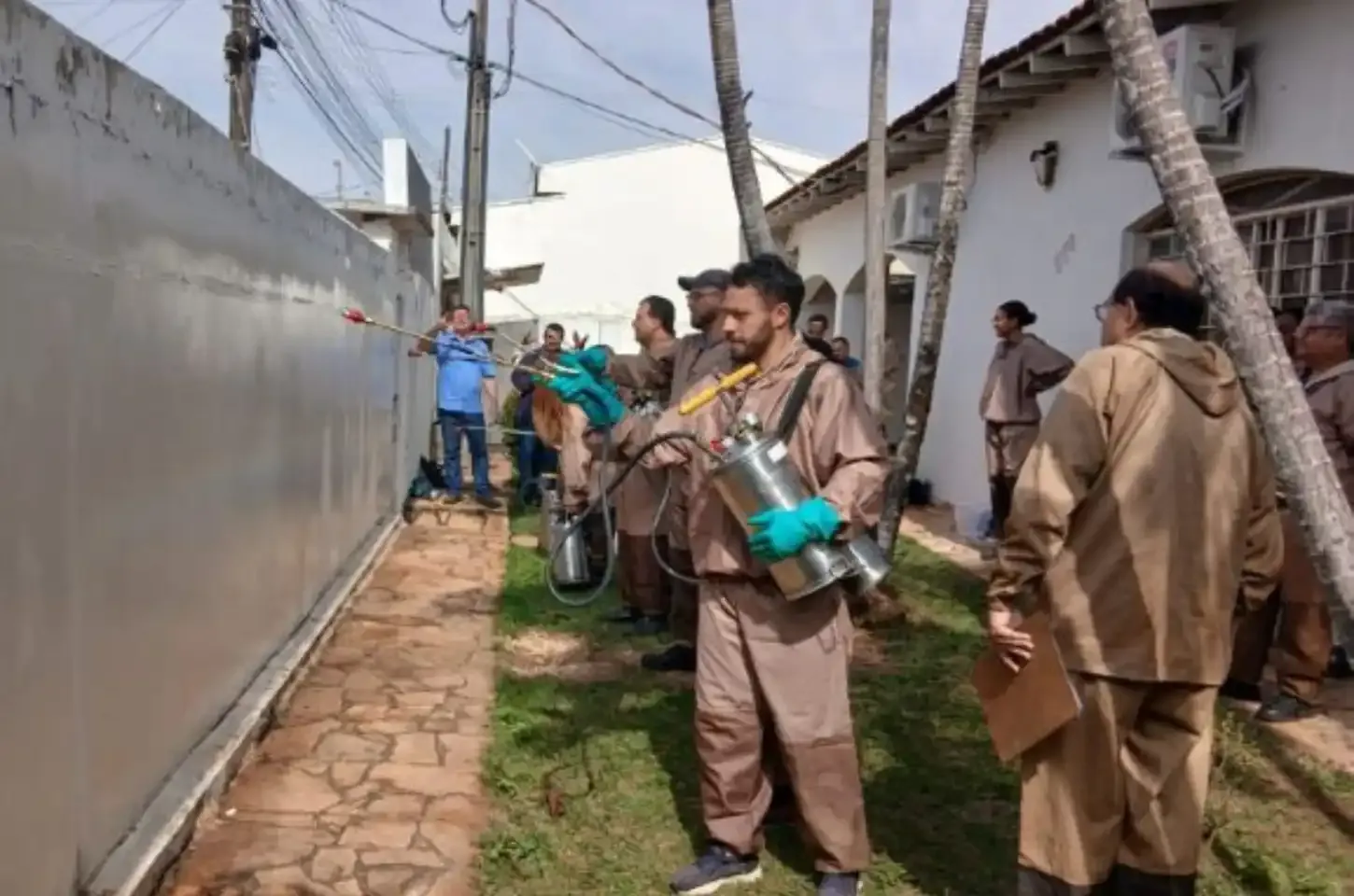 Prefeitura utilizará novo método de eliminação do Aedes aegypti
