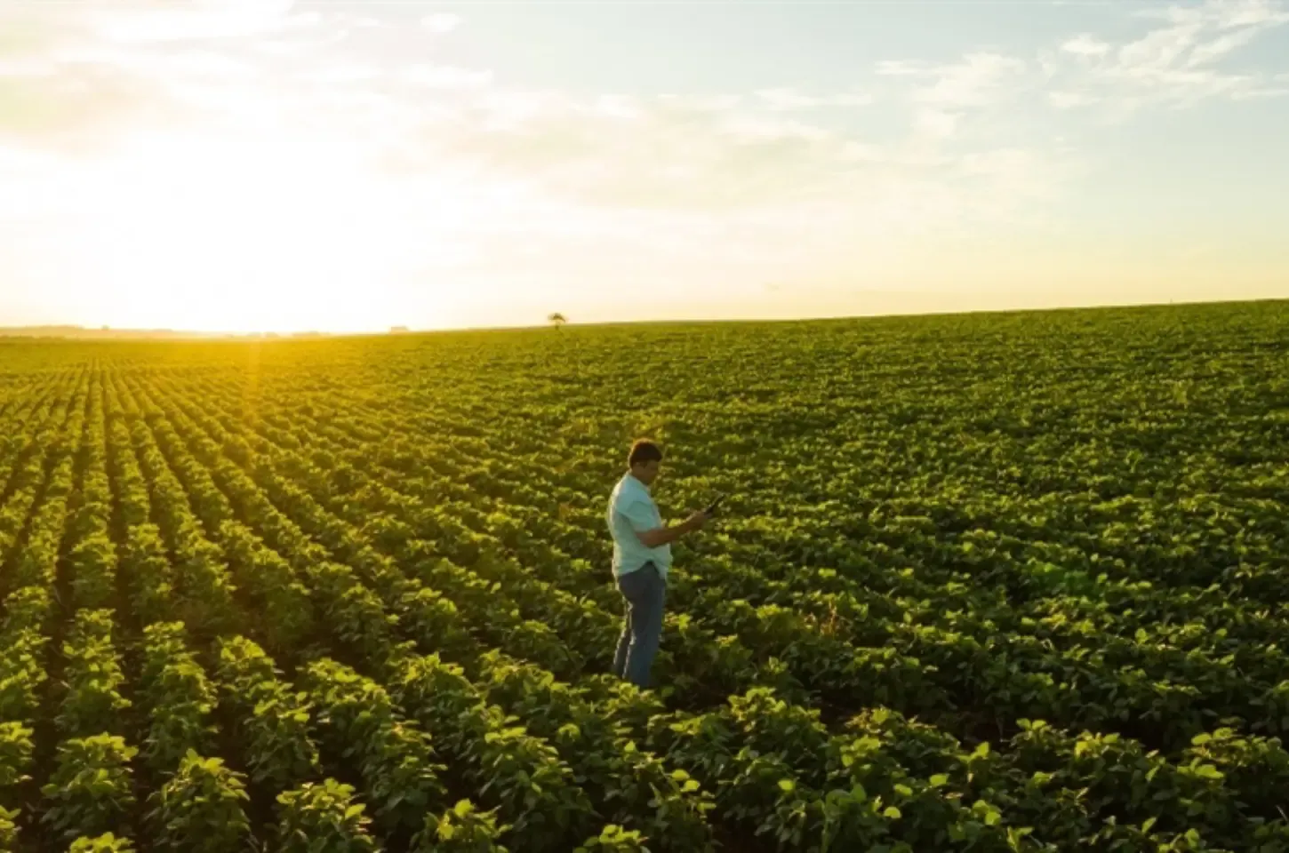 Brasil fortalece presença no agro global