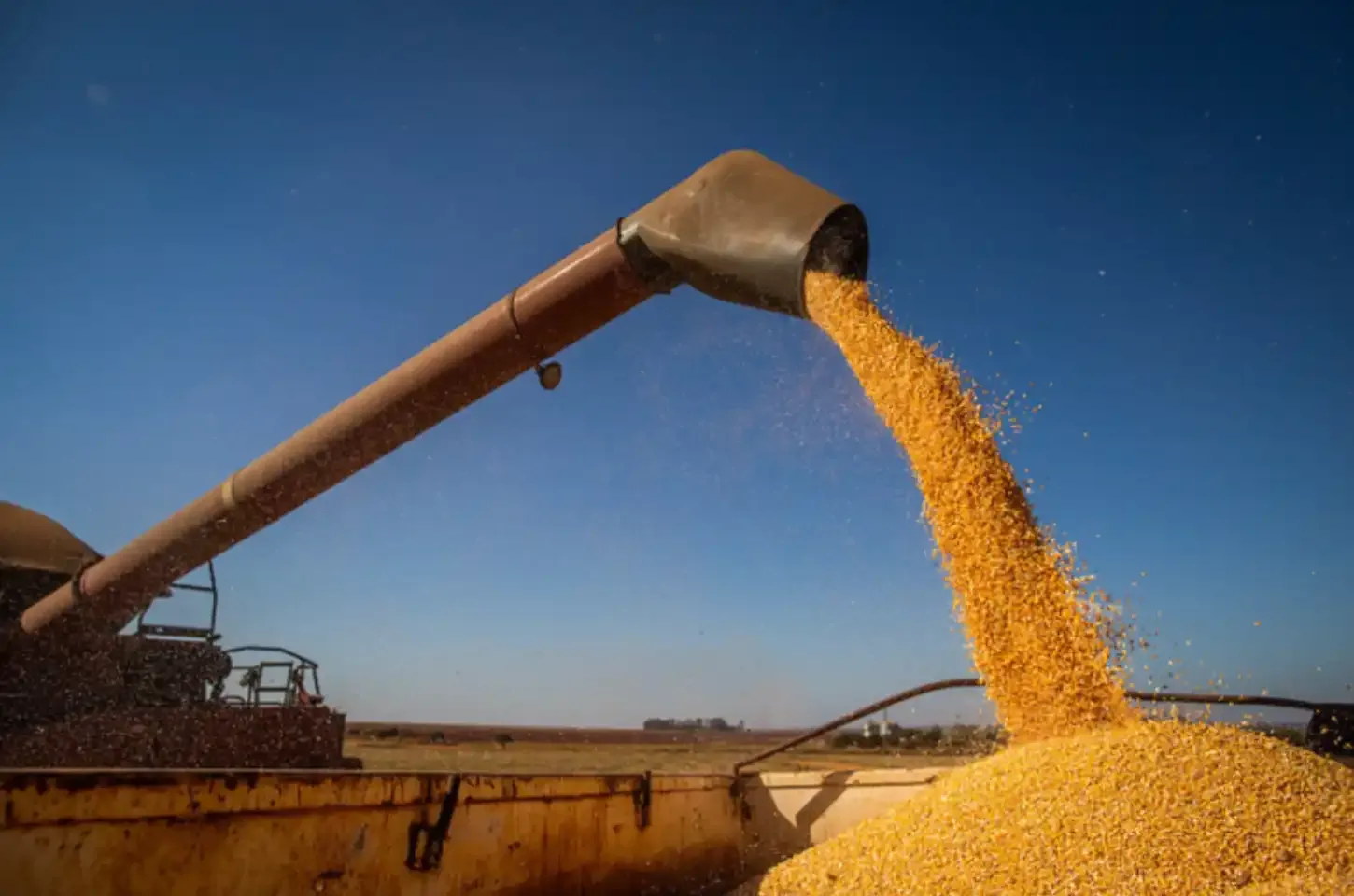 MS tem quatro municípios no ‘top 20’ do agronegócio nacional, aponta estudo