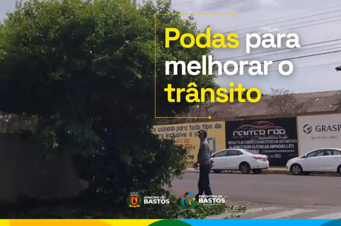 Podas: saúde das árvores e mobilidade urbana