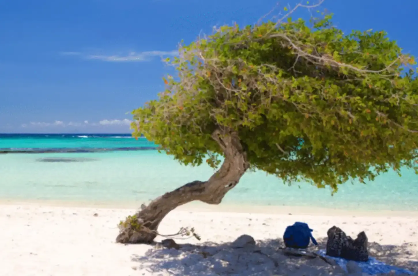 Argentinos descobrem lugar barato no Caribe e turismo brasileiro pode sofrer em 2026