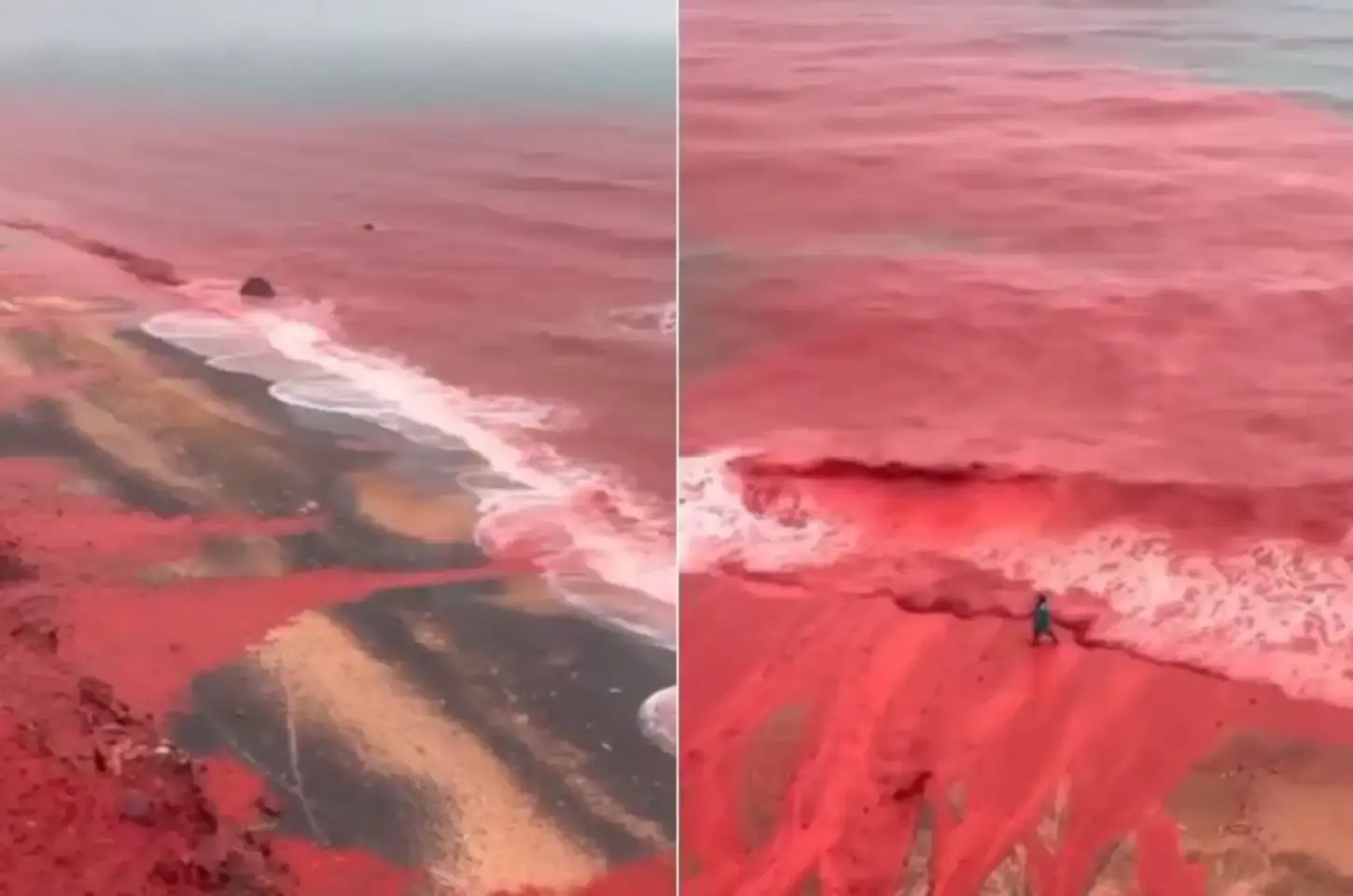Mar fica vermelho em praia no Irã; web lembra sinal bíblico