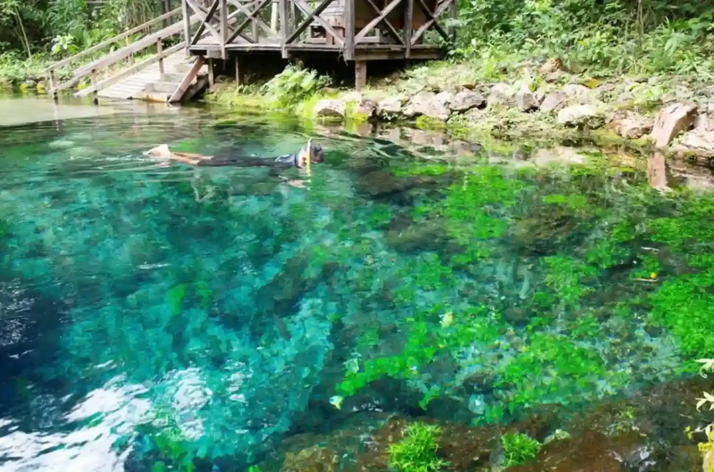 Bonito (MS) une rios transparentes e turismo de natureza