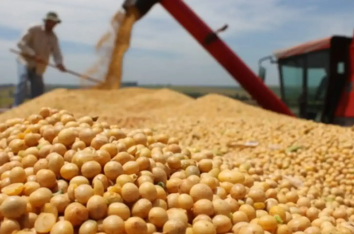 Reforma Tributária pode aumentar ganhos de produtores de soja e milho em MS