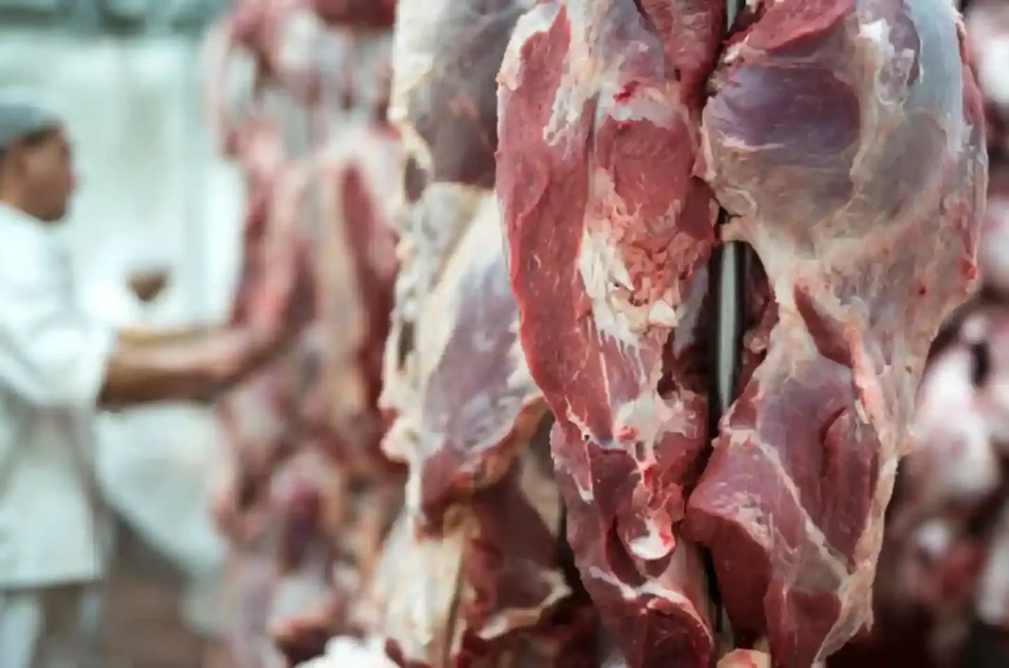 União Europeia veta carne do Brasil a partir de setembro